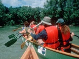 Excursiones en autobús hacia el parque nacional Donauauen