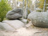 Busausflüge ins Waldviertel